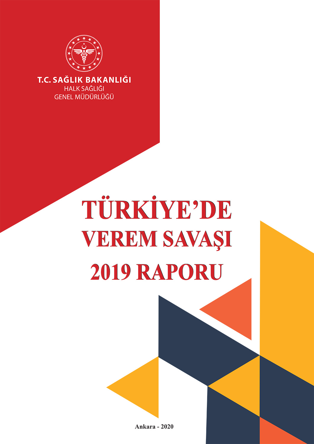 Türkiye’de Verem Savaşı 2019 Raporu